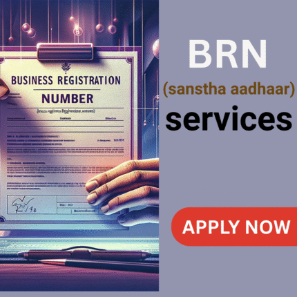BRN (Sanstha Aadhaar) Application Form